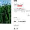 【悲報】Lily Chou-Chou「呼吸」のアナログ盤を買いそびれた件